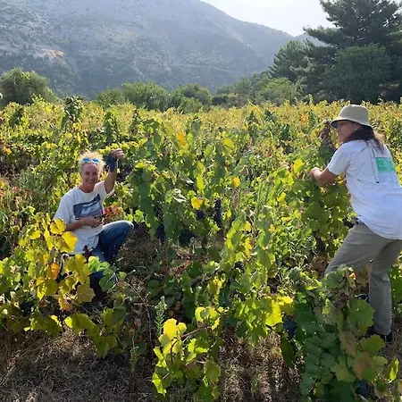 דירה Alexandra's *